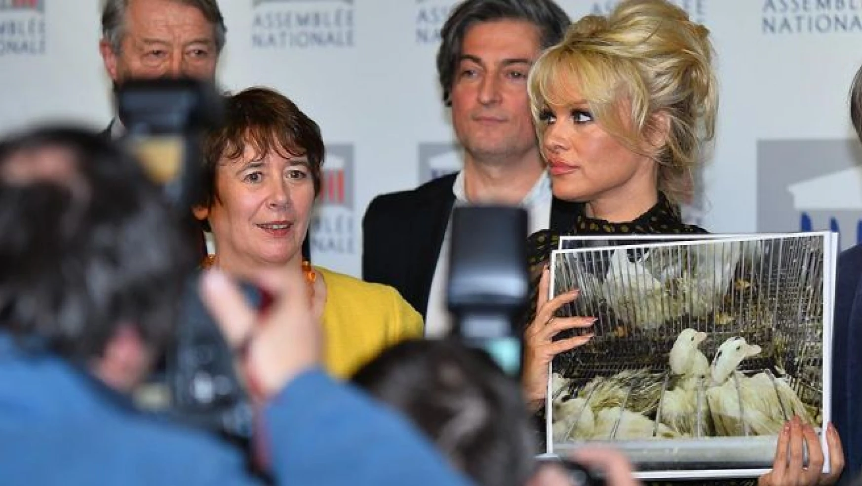 Pamela Anderson'dan Fransa'ya