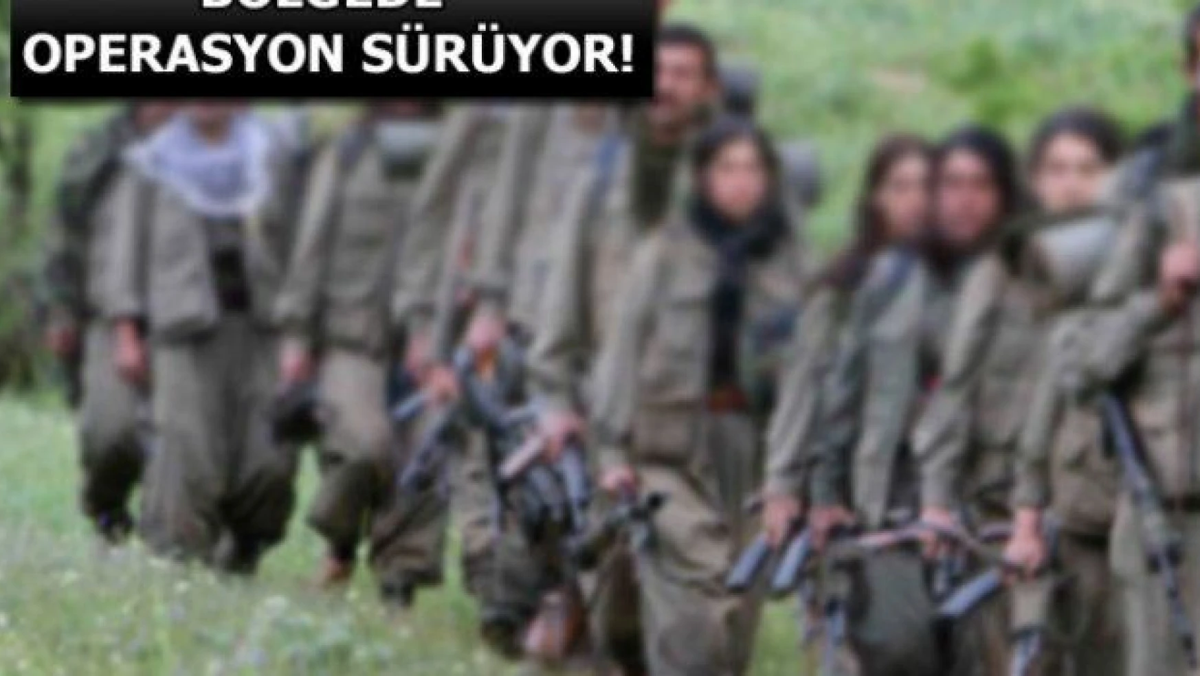 PKK'nın Varto sorumlusu yakalandı