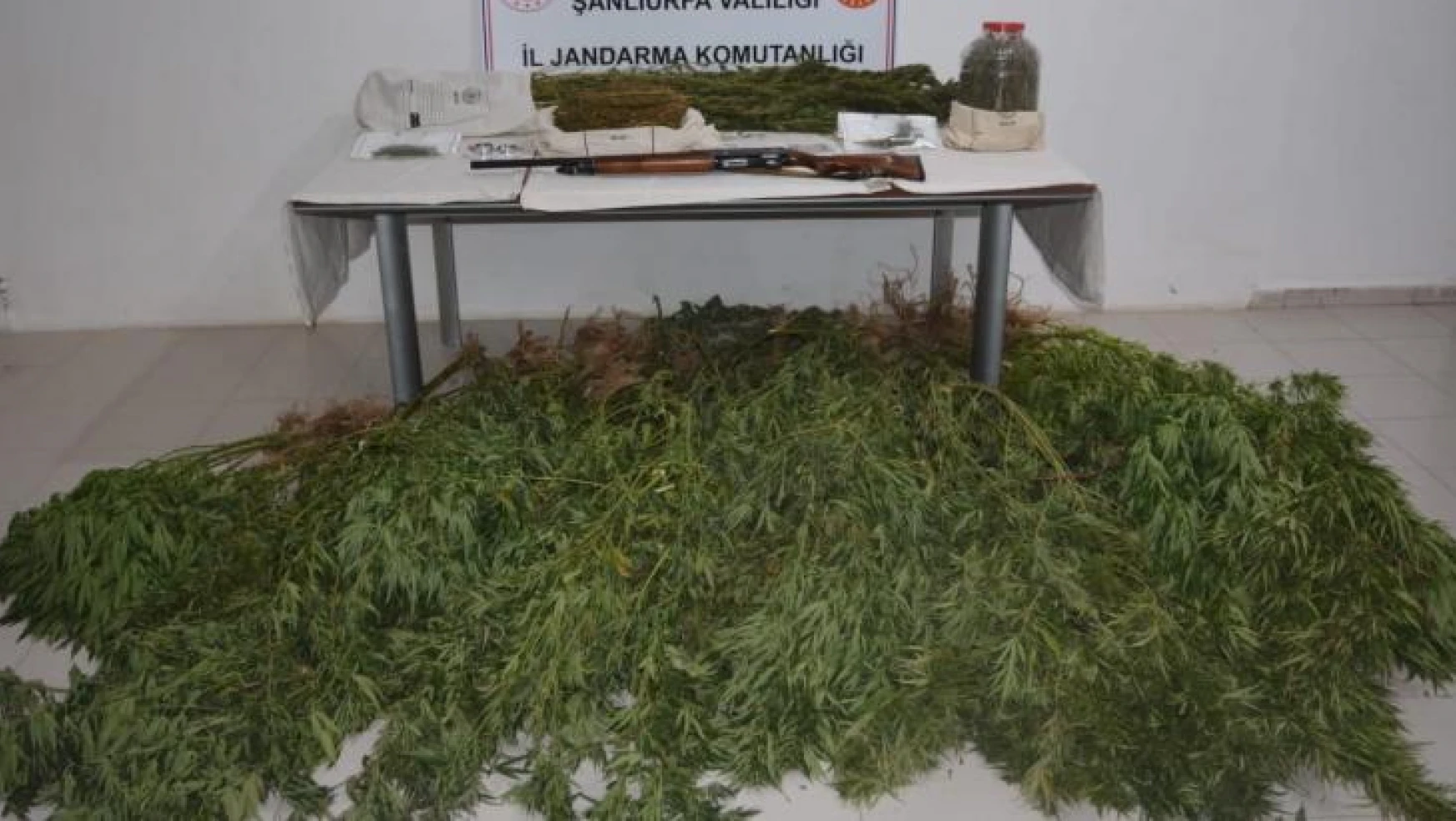 Şanlıurfa'da uyuşturucu operasyonu: 5 gözaltı