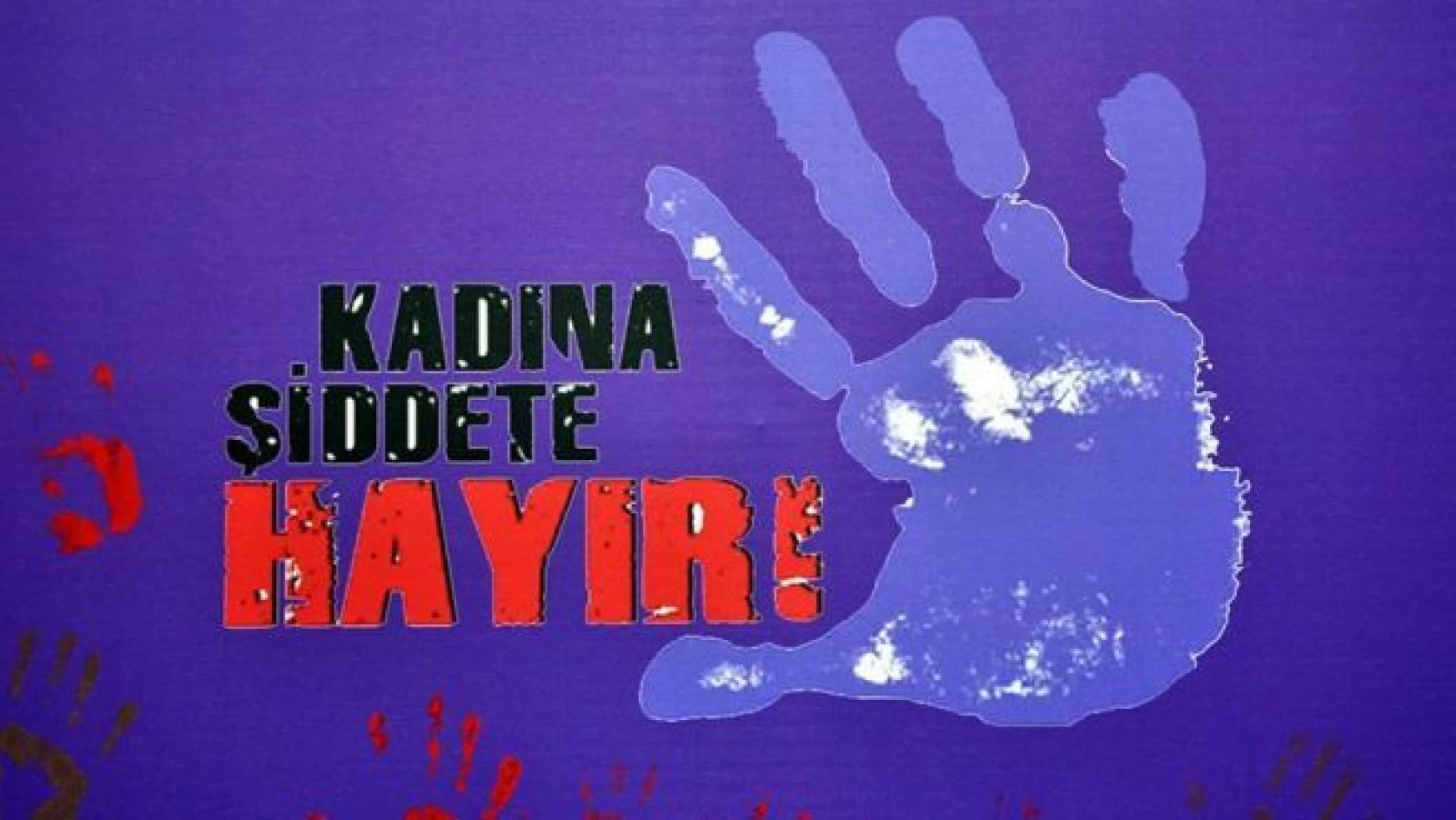 'Türkiye'de her 3 kadından 1'i şiddet görüyor'