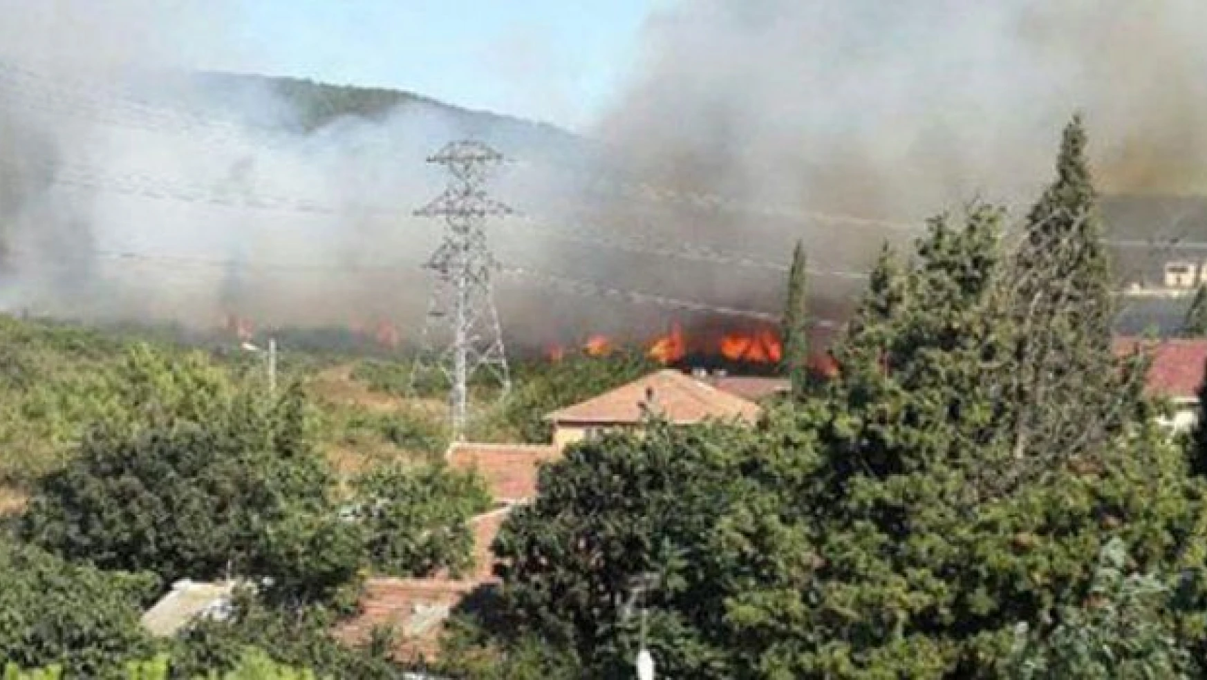 Tuzla'da askeri bölgedeki ormanlık alanda yangın