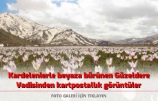 Kardelenlerle beyaza bürünen Güzeldere Vadisinden kartpostallık görüntüler