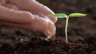 Tarım Bakanlığı çalışanlarının aynı gün iki ödeme almasını engelleyen düzenlemeye iptal