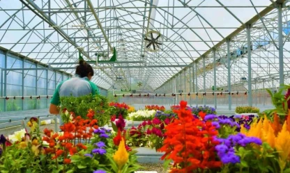Atıkların çiçeği dönüştüğü projeye ödül