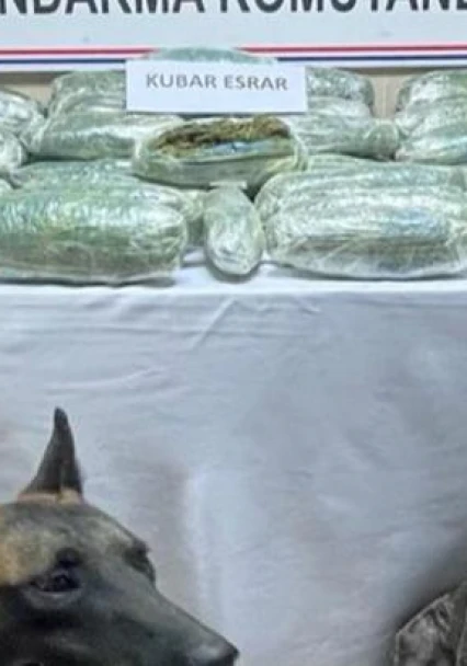 28 kilo 542 gram kubar esrar 'Yüzey' ve 'Siklet'in burnundan kaçmadı