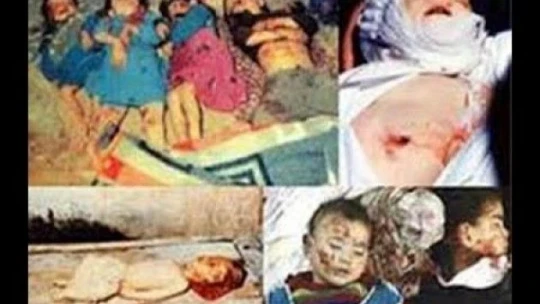 Bebek katili PKK'ya toz kondurmayan akademik ihanet!