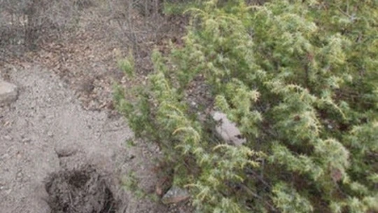 Ankara'yı kana bulayan bomba Çamlıdere'de hazırlanmış