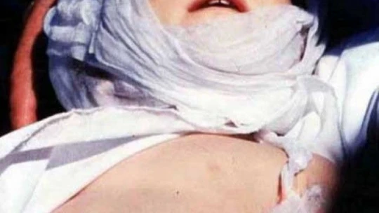 Bebek katili PKK'ya toz kondurmayan akademik ihanet!