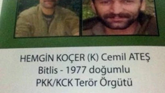 Başına 1 milyon lira ödül konan terörist öldürüldü!