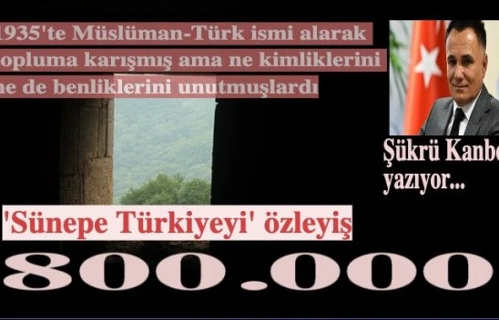 Müslüman-Türk isimli yerli-yabancı unsurlar ve 'Sünepe Türkiye'yi özleyiş