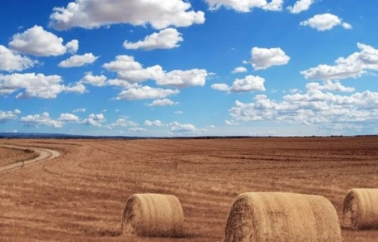 O kirlilikle mücadele için 5 bin istasyonla izleme ve hibe desteği