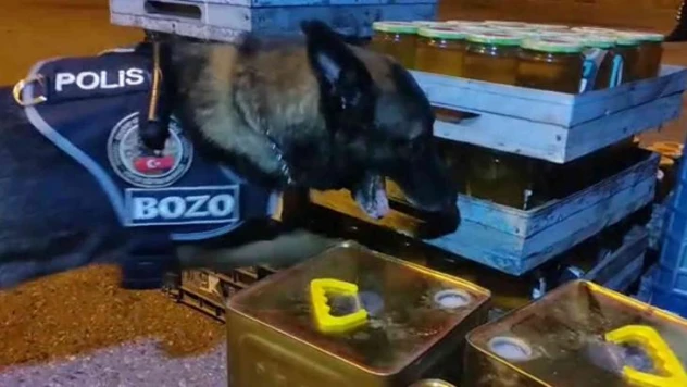 Arı kovanı içerisinden 2 kilo 500 gram metamfetamin çıktı