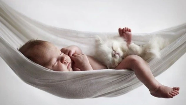 Rüya tabiri arama motoru! Tıklayın, rüyanızı yorumlayın