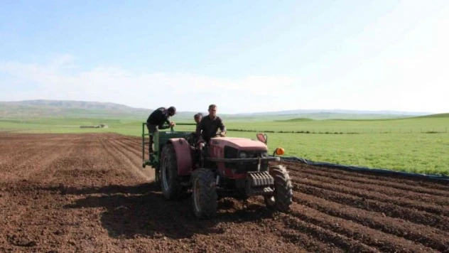 Siirt'te patates tohumu deneme ekimi yapıldı