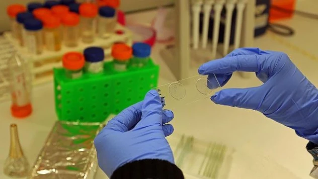 'Zika aşısı 18 ay alabilir'