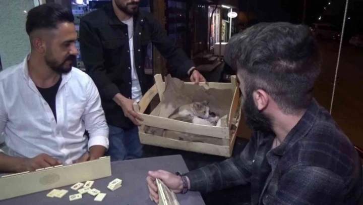 Yok böyle bir olay...Okey masasında doğum
