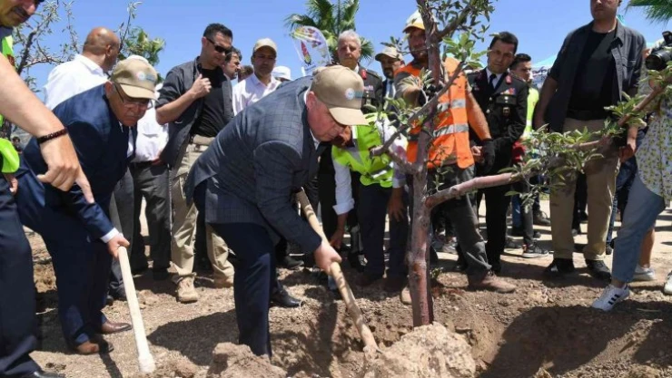 251 kahramanın adına 251 zeytin fidanı dikildi