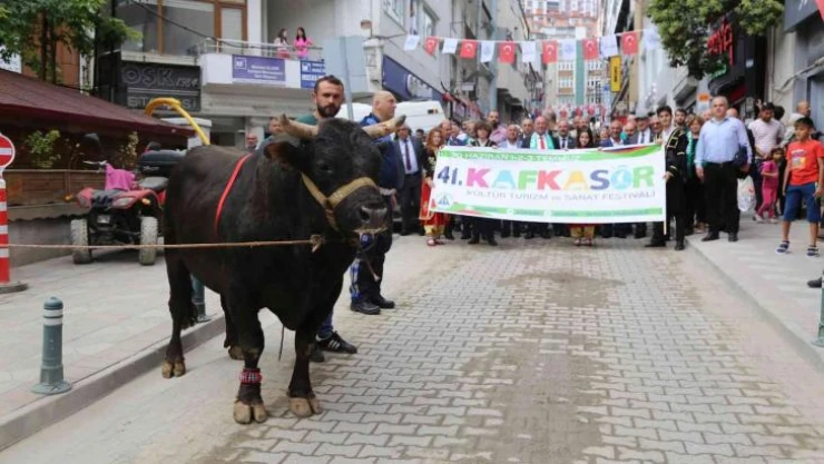 41. Kafkasör Festivali boğaların da katıldığı kortej yürüyüşüyle başladı