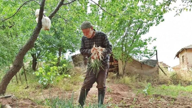 76 yaşında arı gibi çalışıyor, gençlere taş çıkartıyor