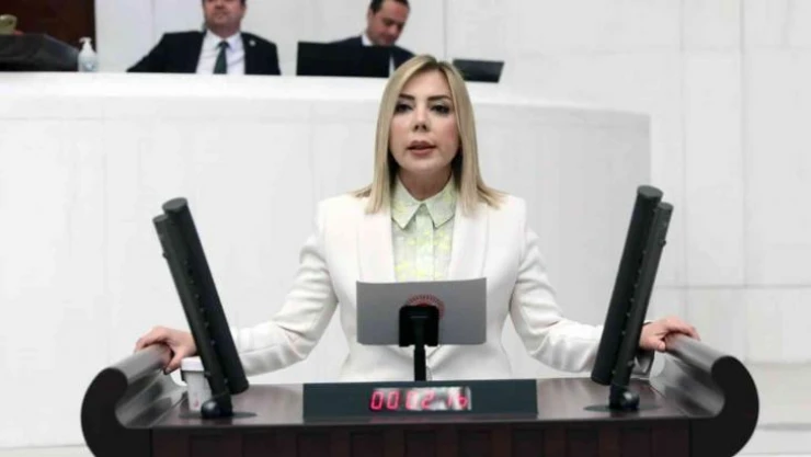 AK Partili Milletvekili Gökcan: 'HDP şiddetin kendisidir'