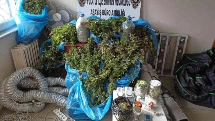 Ankara'da evinin balkonunda esrar yetiştiren şüpheli gözaltına alındı