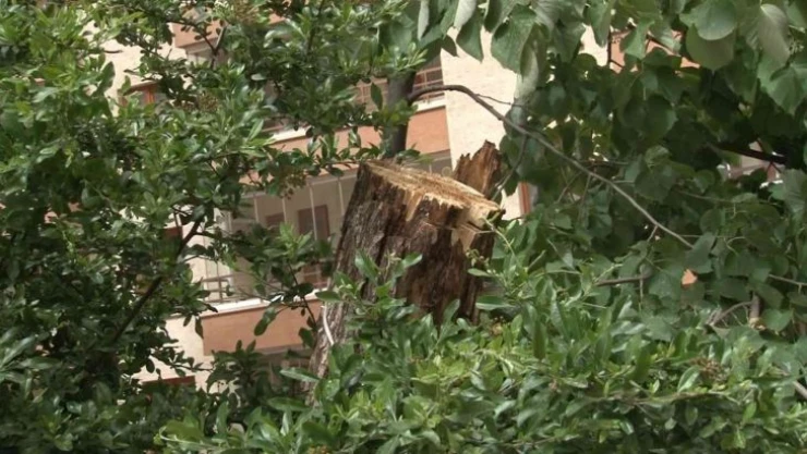 Ankara'da gece yaşanan fırtınanın izleri sabah ortaya çıktı