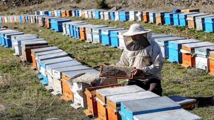 Arıcılara 'yalancı bahar' uyarısı