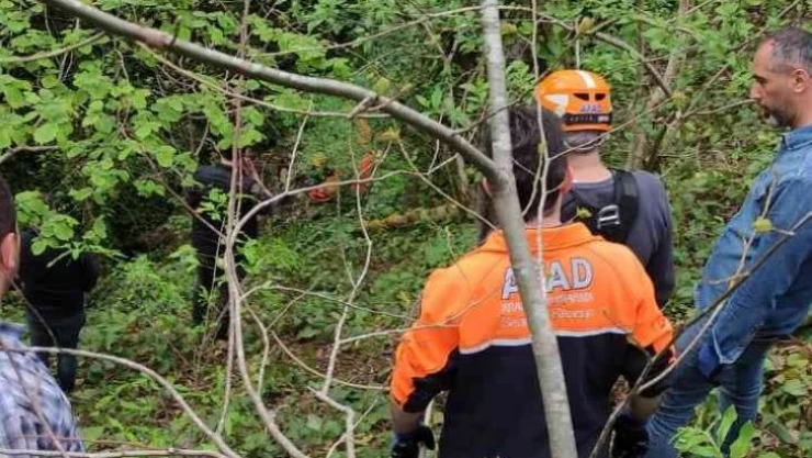Artvin'de uçuruma yuvarlanan yaşlı adam hayatını kaybetti