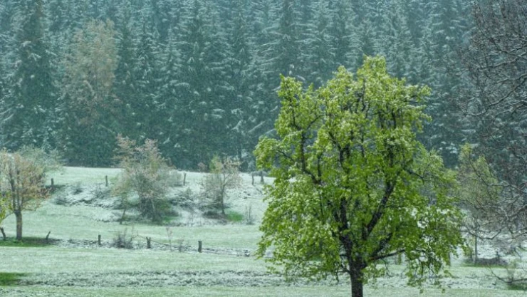 Artvin'in yüksek kesimlerinde kar etkili oldu