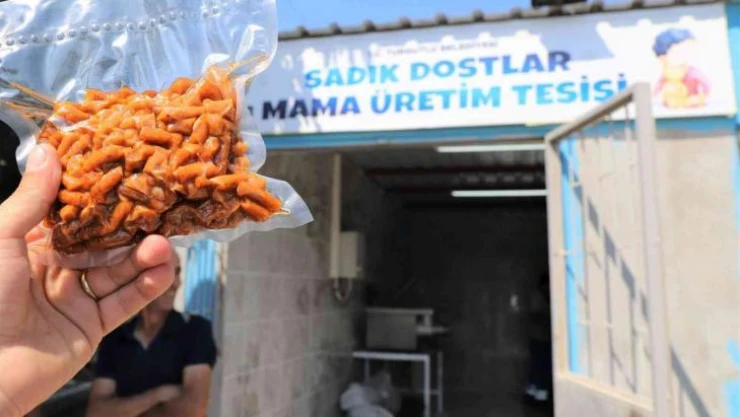 Atık gıdalar sokak hayvanları için mamaya dönüşecek