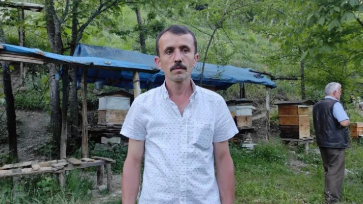 Ayı vatandaşa saldırdı, köylüler korku içinde