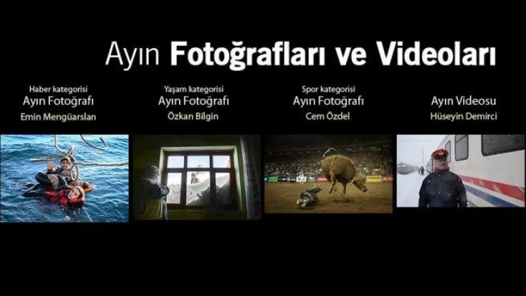 Ayın Fotoğrafları ve Videoları