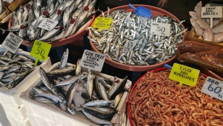 Bandırma'daki balık tezgahlarında bolluk var