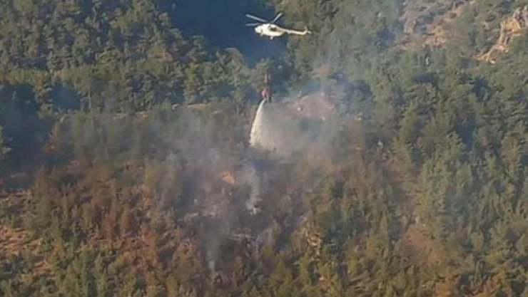 Bergama'daki orman yangını 1 saatte kontrol altında