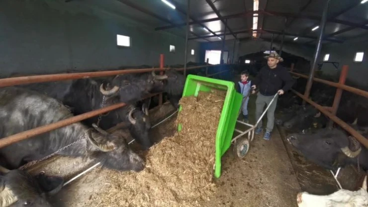 Bilgisayar mühendisinin manda tutkusu