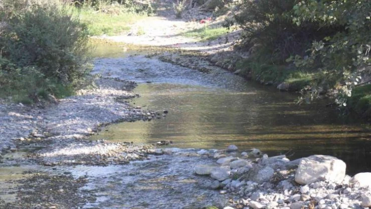 Bir kişinin öldüğü, 141 kişinin zehirlendiği köydeki derede mikrobiyolojik kirlenme tespit edildi
