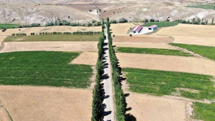 Bu koridora giren hayran kalıyor