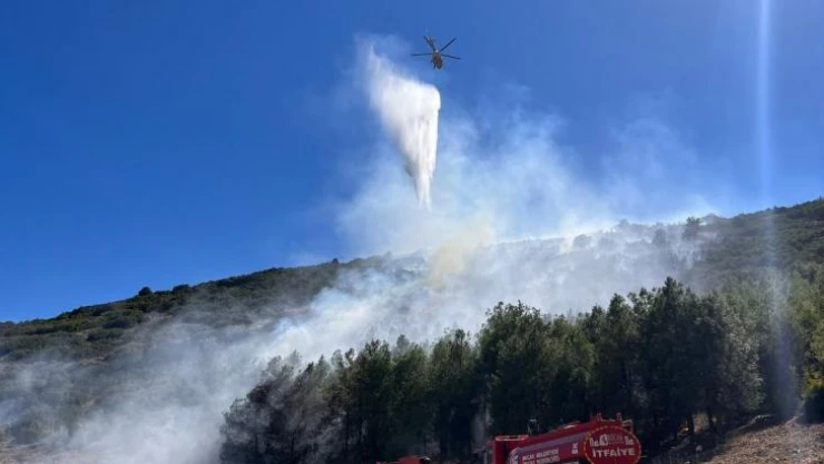 Burdur'da orman yangını