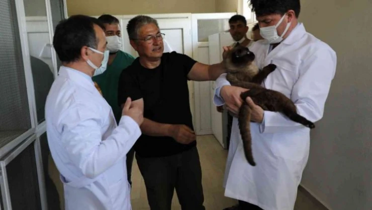 Can dostları sahiplerinin dikkatine