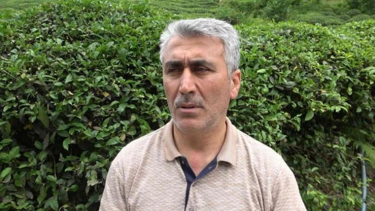 Çayın birinci sürgününden çay üreticileri memnun