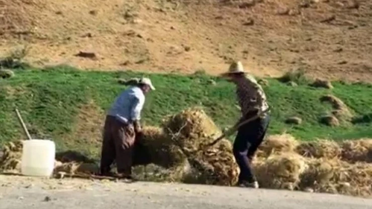 Çiftçilerin zorlu mesaisi