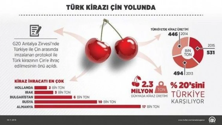 Çinliler Türk kirazını 2016'da yiyecek