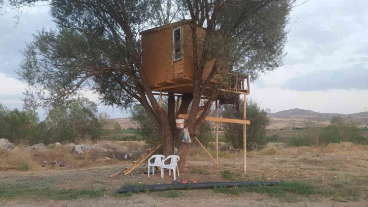 Çobanlar için ağaçta otel yaptı