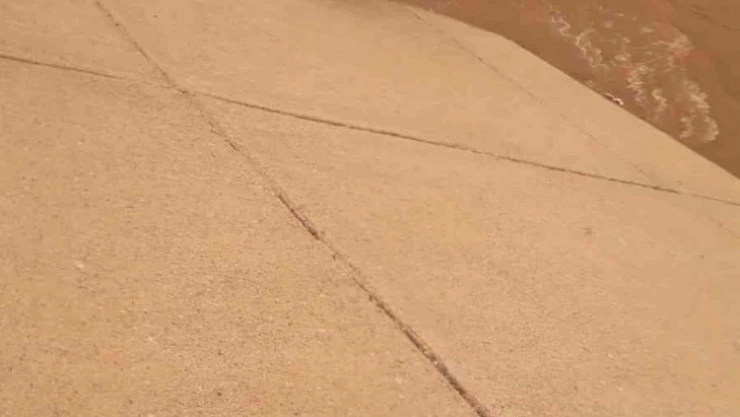 Diyarbakır'da su kanalına düşen ineği jandarma personeli kurtardı