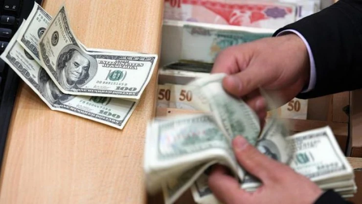 Dolar geçen yıl yatırımcısının yüzünü güldürdü