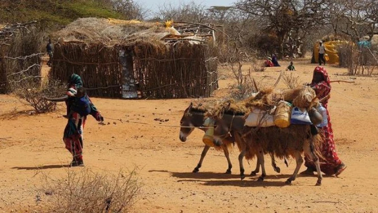 El Nino milyonlarca insanı mağdur edecek