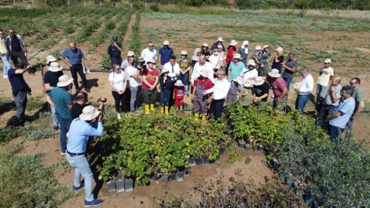 Engelsiz tarımda hasat zamanı