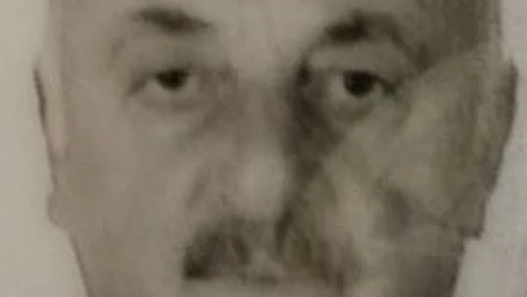 Erik toplamak için çıktığı ağaçtan düşerek öldü