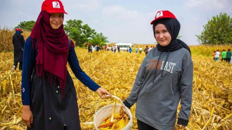 Gençler Kızılay kampında tarım ve üretimi yaşayarak öğreniyor