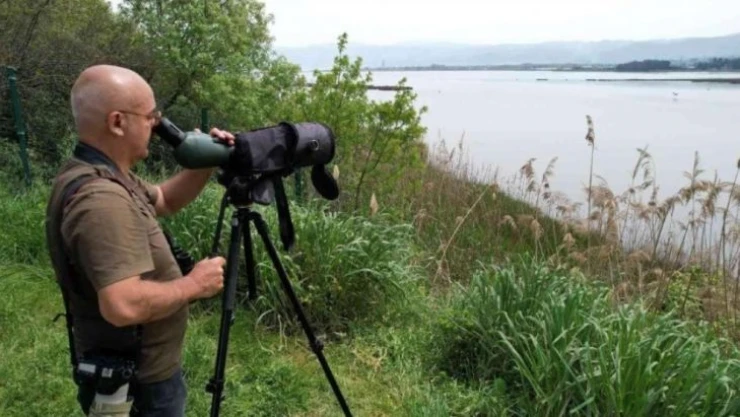 Hersek Lagünü'nde kuş tür sayısı 246'ya çıktı